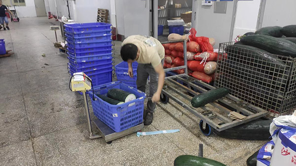 碳中和要求 碳中和要求